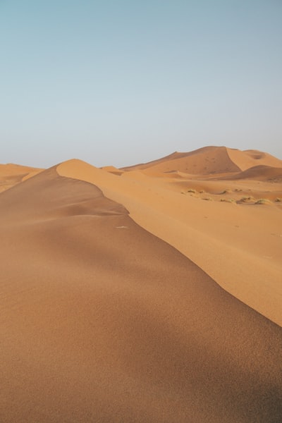 白天沙漠沙